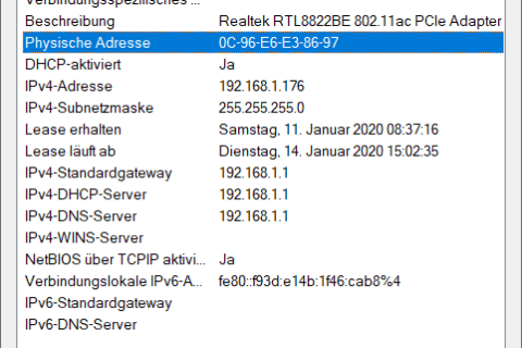 MAC-Adresse unter Windows ausgelesen