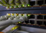 Netzwerk-Switch im Heimnetzwerk