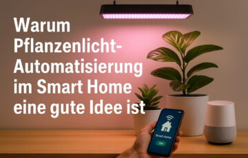 Zwei Pflanzen unter LED-Pflanzenlicht, gesteuert per Smartphone im Smart Home
