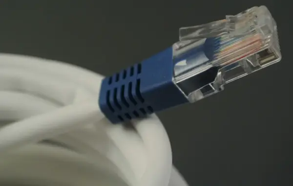 RJ45-Stecker eines Netzwerkkabels als Beispiel für Cat 7 und Cat 8