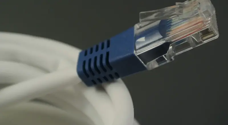 RJ45-Stecker eines Netzwerkkabels als Beispiel für Cat 7 und Cat 8