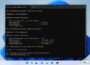 Windows-Terminal mit ipconfig-Befehlen zum Erneuern der IP-Adresse